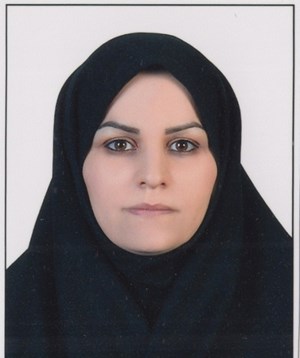 Uploaded Image