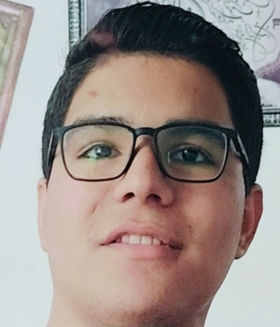 Uploaded Image